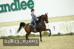 24R13_03905 thumbnail