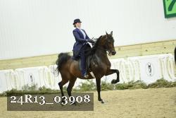 24R13_03908 thumbnail