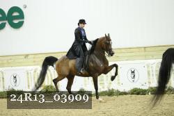 24R13_03909 thumbnail