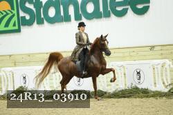24R13_03910 thumbnail