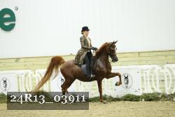 24R13_03911 thumbnail