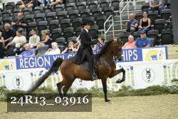 24R13_03916 thumbnail