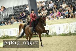 24R13_03917 thumbnail