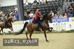 24R13_03918 thumbnail