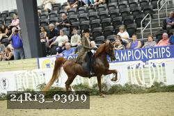 24R13_03919 thumbnail