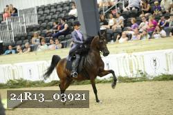 24R13_03921 thumbnail