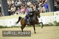 24R13_03922 thumbnail