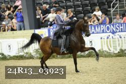 24R13_03923 thumbnail