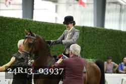24R13_03937 thumbnail