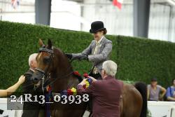 24R13_03938 thumbnail
