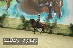 24R13_03943 thumbnail