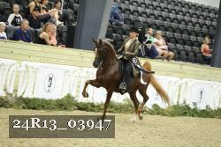 24R13_03947 thumbnail