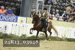 24R13_03948 thumbnail