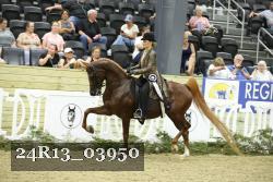 24R13_03950 thumbnail
