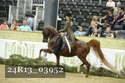 24R13_03952 thumbnail