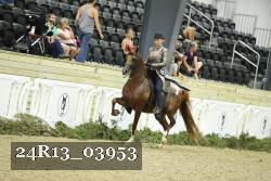24R13_03953 thumbnail