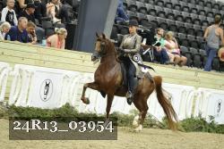 24R13_03954 thumbnail