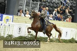 24R13_03955 thumbnail