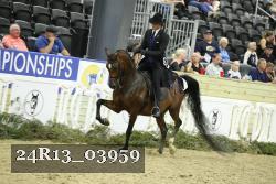 24R13_03959 thumbnail