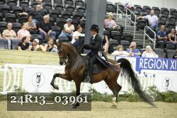 24R13_03961 thumbnail