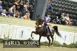 24R13_03964 thumbnail
