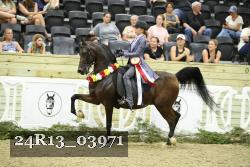 24R13_03971 thumbnail