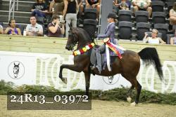 24R13_03972 thumbnail