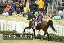 24R13_03975 thumbnail