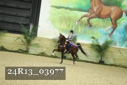24R13_03977 thumbnail