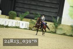 24R13_03978 thumbnail