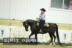 24R13_04001 thumbnail
