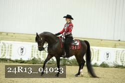 24R13_04023 thumbnail