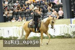 24R13_04050 thumbnail