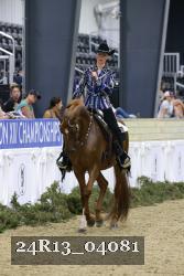 24R13_04081 thumbnail