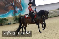 24R13_04088 thumbnail
