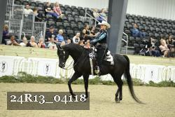 24R13_04118 thumbnail