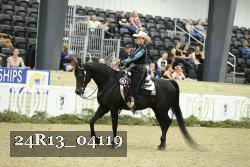 24R13_04119 thumbnail