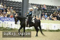 24R13_04120 thumbnail