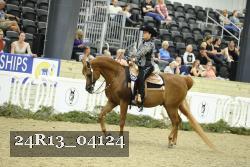 24R13_04124 thumbnail