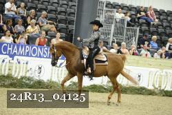 24R13_04125 thumbnail