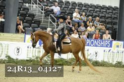 24R13_04127 thumbnail