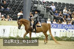 24R13_04128 thumbnail