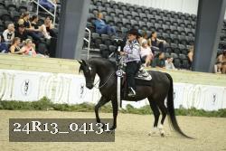 24R13_04131 thumbnail