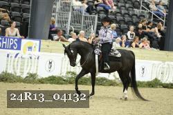 24R13_04132 thumbnail