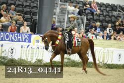 24R13_04141 thumbnail