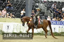 24R13_04147 thumbnail