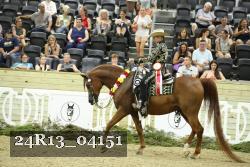 24R13_04151 thumbnail