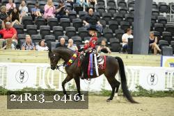 24R13_04161 thumbnail