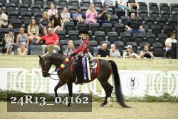24R13_04162 thumbnail