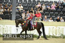 24R13_04163 thumbnail